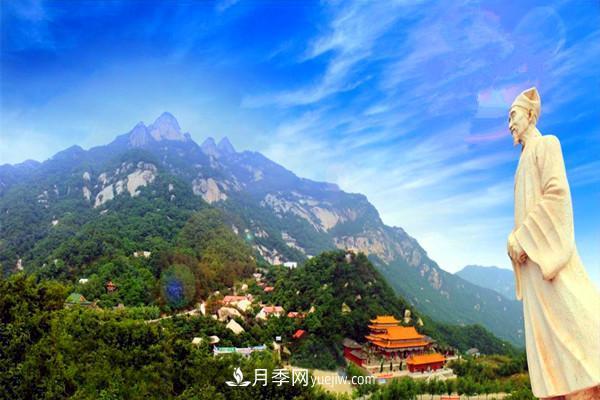 一縣一品公益助農(nóng)，河南南召特色農(nóng)產(chǎn)品辛夷(圖2)