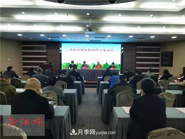 2.2億株！洛陽市可供今冬明春國土綠化使用的苗木種類齊全(圖1)