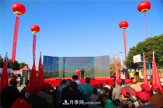 擦亮生態(tài)品牌助力鄉(xiāng)村振興，湖北孝昌苗木花卉產(chǎn)業(yè)發(fā)展綜述(圖1)
