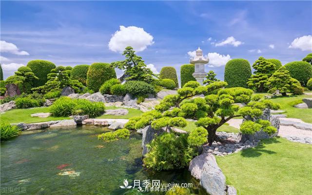 園林綠化樹(shù)苗木的培育技術(shù)，效益可觀！(圖2)