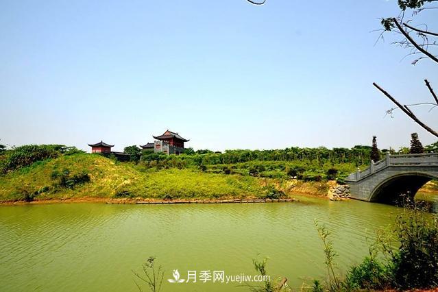 江西南昌天香園走紅，有3萬余的盆景，是南昌的“花卉之源”(圖2)