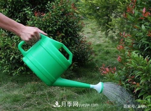 花卉栽培的六大基本工具，你準(zhǔn)備好了嗎？(圖2)