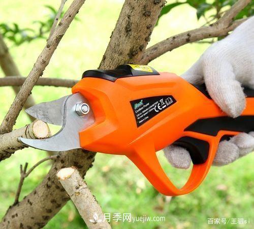 花卉栽培的六大基本工具，你準(zhǔn)備好了嗎？(圖4)