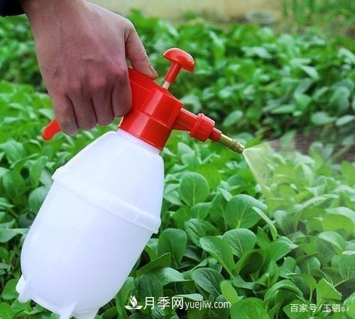 花卉栽培的六大基本工具，你準(zhǔn)備好了嗎？(圖3)