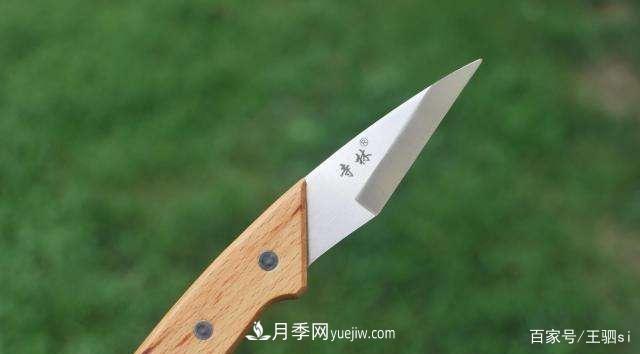 花卉栽培的六大基本工具，你準(zhǔn)備好了嗎？(圖6)