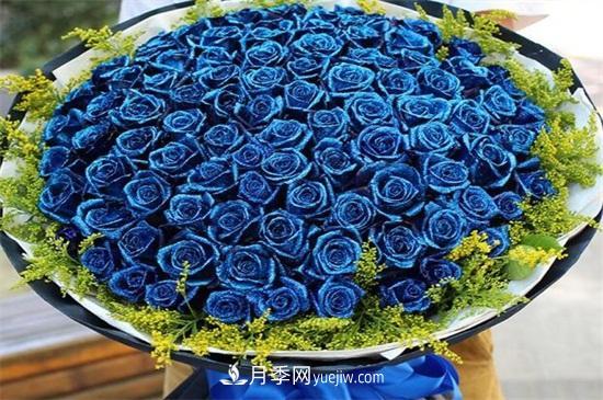 玫瑰花語是什么？盤點(diǎn)五個顏色的玫瑰花語(圖2)