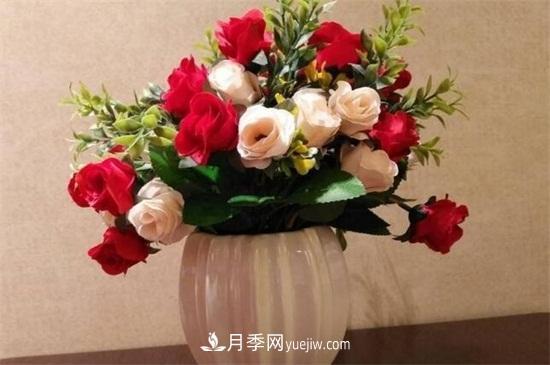 玫瑰花怎么種？玫瑰花種植方法和步驟(圖2)