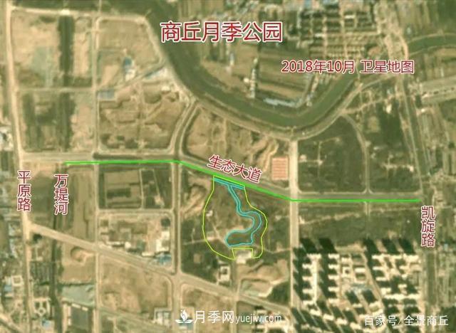 商丘的“市花”和“市樹”是什么，你能想到了(圖2)