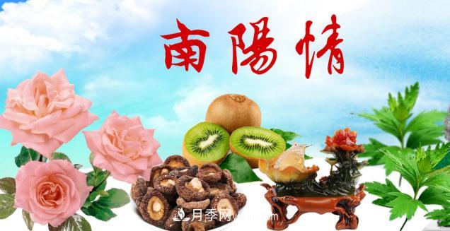 南陽新農人搞農業(yè)要記住四點才能成功(圖1)