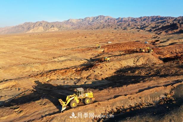 甘肅張掖：元寶楓國家儲備林建設項目加速推進(圖1)