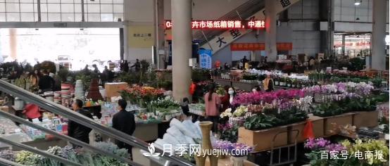 亞洲***大花卉小鎮(zhèn)：昆明斗南玫瑰4毛一支，年銷70億！(圖1)