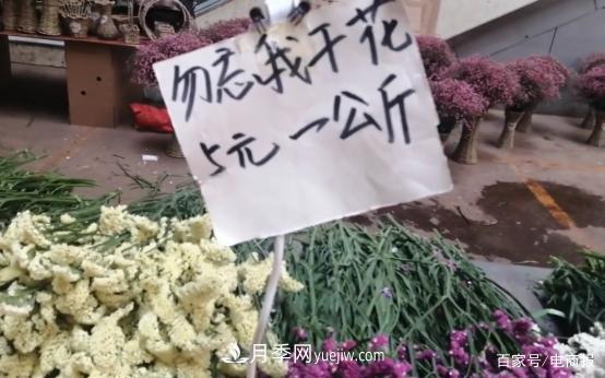 亞洲***大花卉小鎮(zhèn)：昆明斗南玫瑰4毛一支，年銷70億！(圖3)