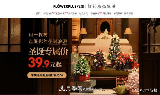 亞洲***大花卉小鎮(zhèn)：昆明斗南玫瑰4毛一支，年銷70億！(圖4)