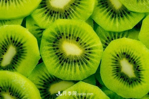 西峽獼猴桃的十大功效，對(duì)人體有哪些好處(圖1)