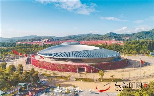 初冬時(shí)節(jié)，東莞市長(zhǎng)安鎮(zhèn)時(shí)令花卉大放異彩令人賞心悅目(圖1)