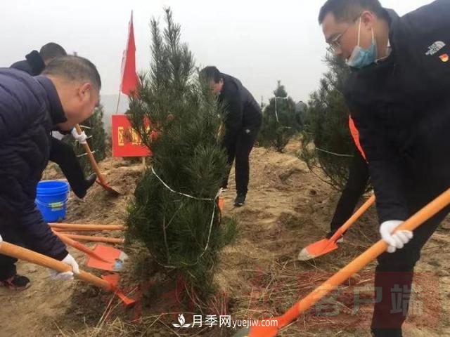為冬日添新綠！南陽市開展千人義務植樹活動(圖1)