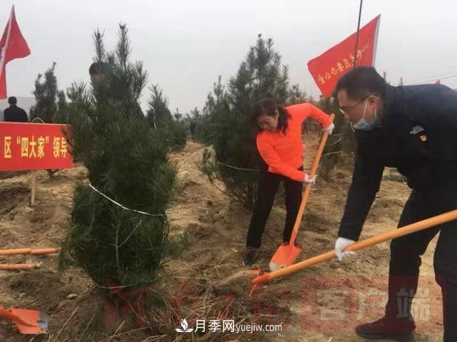 為冬日添新綠！南陽市開展千人義務植樹活動(圖2)