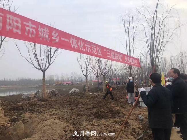 南陽(yáng)月季大觀園西園建設(shè)提速：黨員干部開(kāi)展冬季義務(wù)植樹(shù)(圖1)
