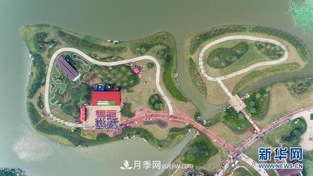 回顧記錄，中國月季展覽會花開阜陽(圖2)