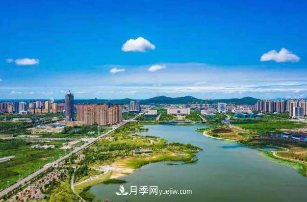 淮南市花、市樹(shù)是什么？是月季嗎？(圖1)
