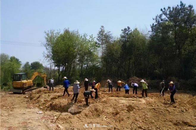 注意，2021年農(nóng)田5不準：違規(guī)罰上萬，關(guān)系戶都沒用(圖2)