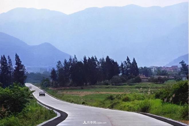 注意，2021年農(nóng)田5不準：違規(guī)罰上萬，關(guān)系戶都沒用(圖3)