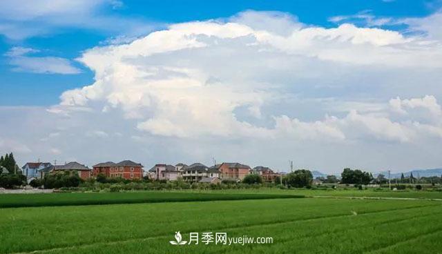 注意，2021年農(nóng)田5不準：違規(guī)罰上萬，關(guān)系戶都沒用(圖1)