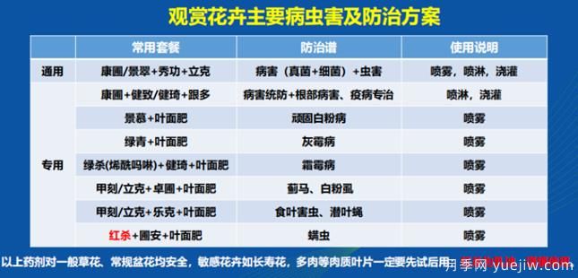如何提高景觀花卉高發(fā)蟲害的防治效果？(圖1)