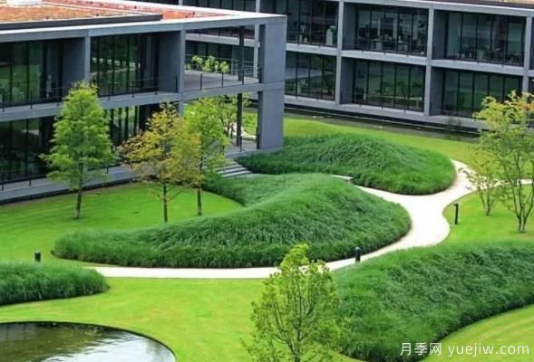 怎樣判斷草坪質(zhì)量的好壞？看4個評價指標(biāo)(圖1)