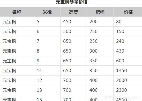 元寶楓的價(jià)格一路上漲，大規(guī)格優(yōu)質(zhì)苗一株能賣(mài)上萬(wàn)元(圖1)