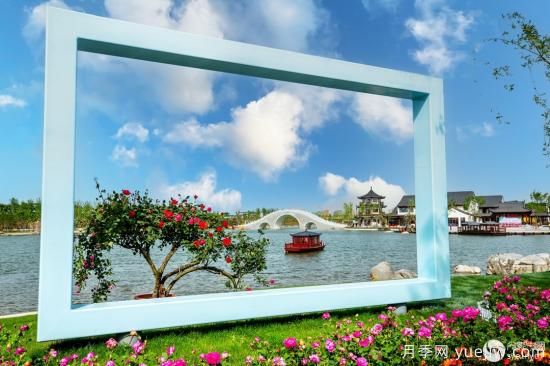 南陽世界月季大觀園杯魅力南陽新城區(qū)攝影大賽結(jié)果和美圖精選(圖9)