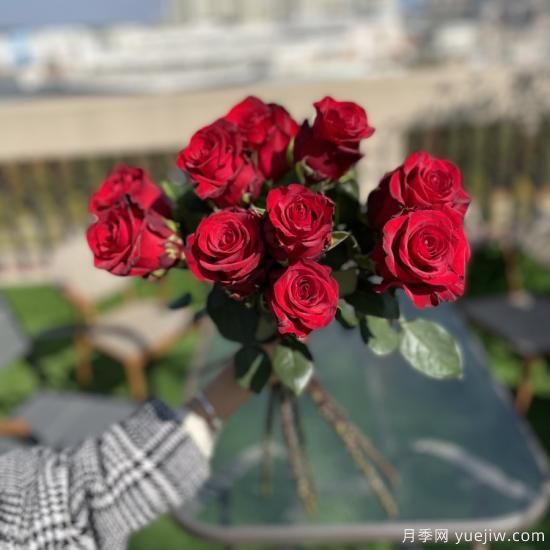 花店常備的15種紅玫瑰是什么？有什么優(yōu)缺點(diǎn)？(圖2)