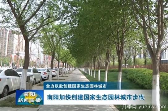 已種月季103萬多株，南陽加快創(chuàng)建國家生態(tài)園林城市步伐(圖1)