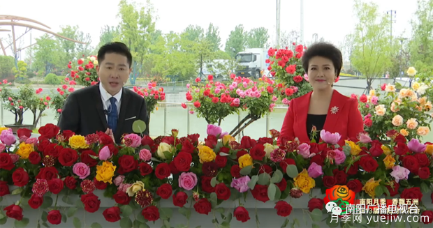 2022年第十三屆南陽月季花會(huì)開幕，南陽電臺(tái)全媒體直播(圖1)