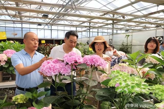 陜西省花卉產(chǎn)業(yè)創(chuàng)新發(fā)展論壇舉行，培育陜花地域品牌(圖1)