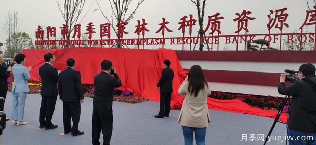 南陽市月季國(guó)家林木種質(zhì)資源庫(kù)成立，打造南陽月季甲天下(圖2)