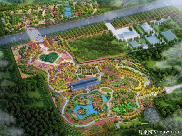 河北滄州再添新景，肅寧國際月季博覽園正式開園(圖1)