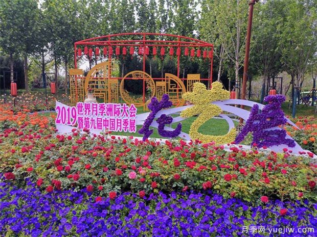 南陽月季大觀園位置在哪里？怎么走？票價多少？(圖2)