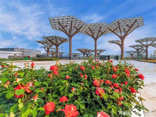 南陽世界月季大觀園成為國家4A級旅游景區(qū)(圖1)