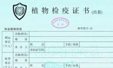 苗木三證一簽指的是什么？(圖1)