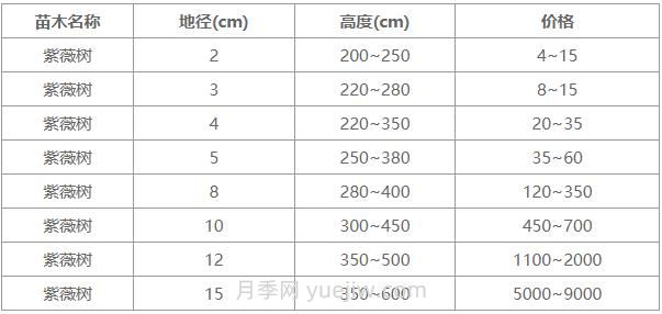 常用地徑4公分、5公分、10公分紫薇樹價(jià)格表(圖1)