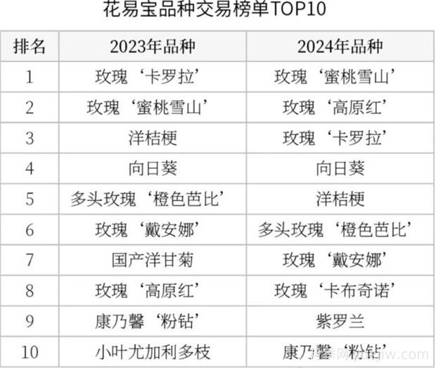 云南鮮切花產(chǎn)業(yè)，一起期待光明的到來(圖3)