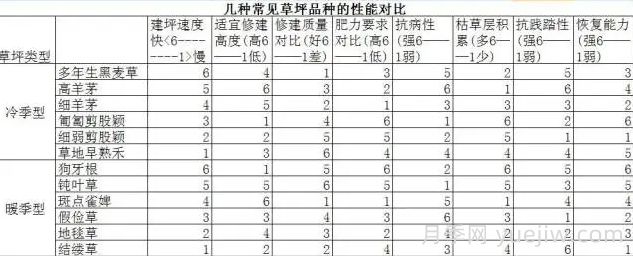 草坪品種及性能對比，收藏學(xué)習(xí)(圖2)