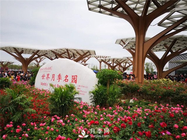 南陽月季大觀園位置在哪里？怎么走？票價多少？(圖1)