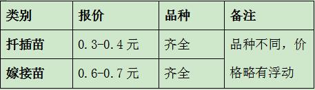 南陽月季小苗批發(fā)價格-月季嫁接苗扦插苗報價！(圖2)