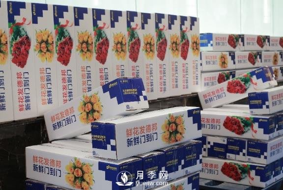 情人節(jié)春節(jié)相遇，德邦快遞＂春節(jié)不休＂滿足鮮花運(yùn)輸旺盛需求(圖1)