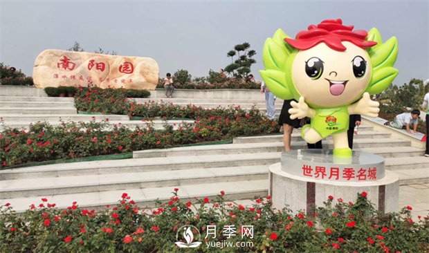 你知道南陽(yáng)為啥被稱為世界月季名城嗎？(圖3)