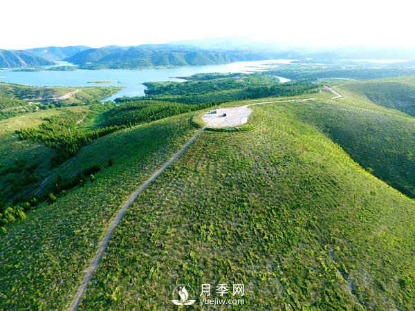 河南石漠化土地集中在南陽，淅川石漠化面積占南陽85%(圖1)