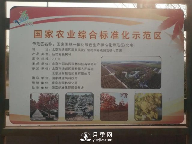 28項(xiàng)行業(yè)標(biāo)準(zhǔn)，198項(xiàng)地方標(biāo)準(zhǔn)，助推北京園林綠化高質(zhì)量發(fā)展(圖2)