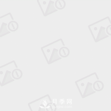 大葉女貞和小葉女貞到底有哪些區(qū)別呢？就葉子不同？(圖1)